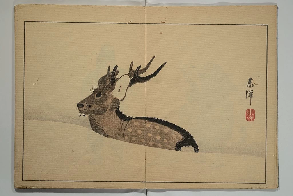 Illustrazione di libro - cervo, Metropolitan Museum of Art di New York